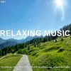 Download track Relaxing Morning