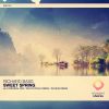 Download track Sweet Spring (Original Mix)