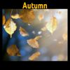 Download track Leaffall