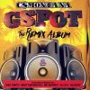 Download track GSPOT (Mr Murphy Remix)