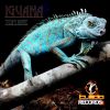 Download track Iguana (Club Edit)