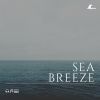 Download track Calming Movement Of The Sea