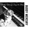 Download track Buddy Mercury Sings