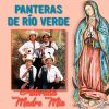 Download track Humilde Serenata