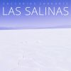 Download track Las Salinas