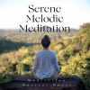 Download track Mindful Meditation Harmonies
