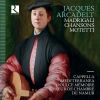 Download track 20. Ancidetemi Pur Grievi Martiri Il Primo Libro De Madrigali D'Archadelt 1539