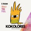 Download track What You Feel (Radio Edit)