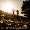 Download track Spring Song (Slowed + Reverb)