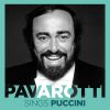 Download track Nessun Dorma (Live)