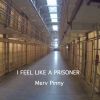 Download track I Feel Like A Prisoner