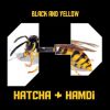 Download track Black And Yellow