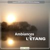 Download track Etang De Champagne En Hiver