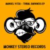 Download track Tribal Darkness (Original Mix)