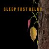 Download track Sleep Fast Relax And Enjoy.