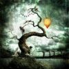 Download track The Tree That Lived And Died Right Before My Eyes