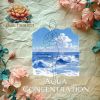 Download track Aqua Concentration