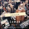 Download track Healer