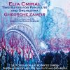 Download track Sinfonia Concertante I. Allegro