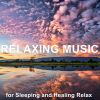 Download track Improve Your Healthy Relaxing Songs