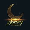 Download track Shining Moonlight