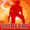 Download track Şehit