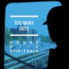 Download track Too Many Days (White Pony Dub)