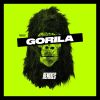 Download track Gorila (Súper & Joaco Tdeb Remix)