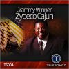 Download track Zydeco Junkie (Instrumental)