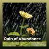 Download track Goodhearted Rain