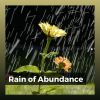 Download track Plenitude Rain