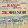 Download track Sonata For Cello & Piano, L. 135: III. Final. Animé, Leger Et Nerveux