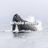 Download track Whale Cry