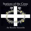 Download track Tertia Decima Statio - Jesus Dies On The Cross