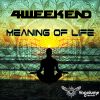 Download track Meaning Of Life (Original Mix)