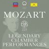 Download track Mozart- Divertimento In D Major, K. 334 - 4. Adagio