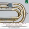 Download track Concertino Für Bassposaune In E-Flat Major, Op. 5 III. Allegro