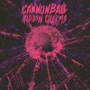 Download track Cannonball