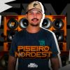 Download track Piseiro No Nordeste