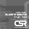 Download track Always Waiting (Original Mix)