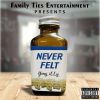 Download track Never Felt