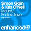 Download track Endless Love (Original Mix)