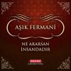 Download track Ne Ararsan İnsandadır