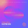 Download track Electric Kiss (David Leckenby Remix)