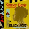 Download track Black Rose