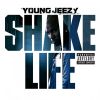 Download track Shake Life