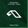 Download track In The Wild (Extended Mix)