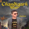 Download track Chandigarh Wali