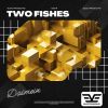 Download track Two Fishes