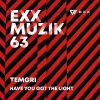 Download track Have You Got The Light (Original Mix)